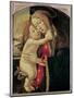 The Virgin and Child, c.1500-Sandro Botticelli-Mounted Giclee Print