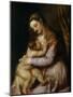 The Virgin and Child, c.1570-76-Titian (Tiziano Vecelli)-Mounted Giclee Print