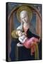 The Virgin and Child, C1450-1460-Filippino Lippi-Framed Stretched Canvas