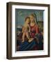 'The Virgin and Child', c1496-9-Giovanni Battista Cima da Conegliano-Framed Giclee Print