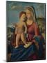 'The Virgin and Child', c1496-9-Giovanni Battista Cima da Conegliano-Mounted Giclee Print