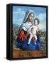 The Virgin and Child, C1505-Giovanni Battista Cima Da Conegliano-Framed Stretched Canvas