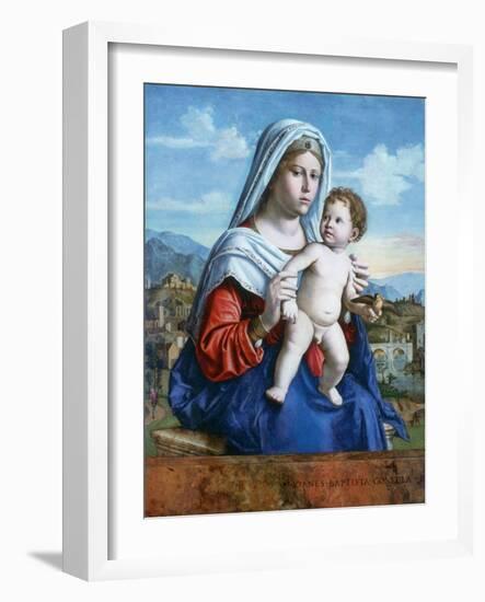 The Virgin and Child, C1505-Giovanni Battista Cima Da Conegliano-Framed Giclee Print