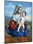 The Virgin and Child, C1505-Giovanni Battista Cima Da Conegliano-Mounted Giclee Print