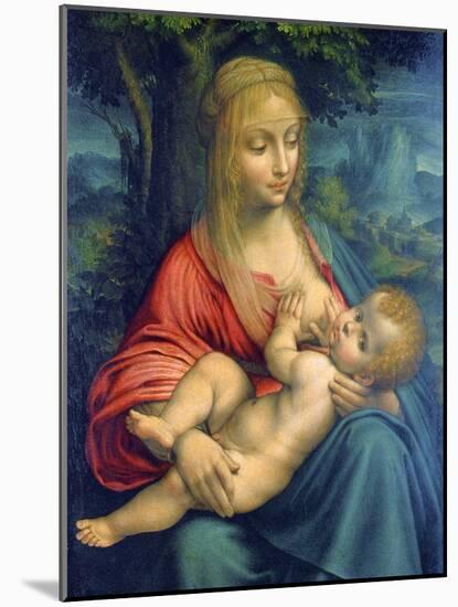 The Virgin and Child, C1511-Leonardo da Vinci-Mounted Giclee Print