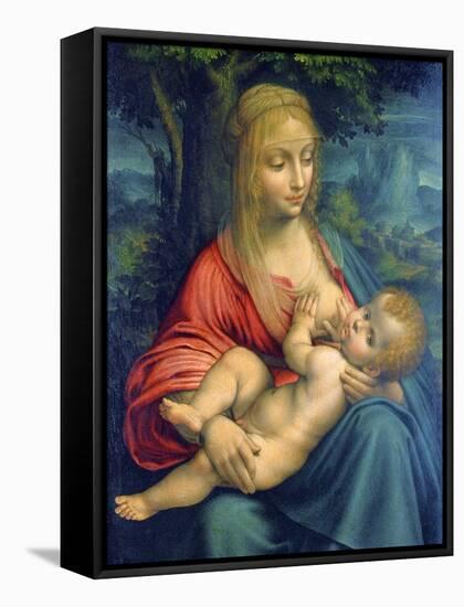 The Virgin and Child, C1511-Leonardo da Vinci-Framed Stretched Canvas