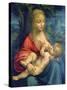 The Virgin and Child, C1511-Leonardo da Vinci-Stretched Canvas