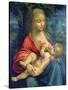 The Virgin and Child, C1511-Leonardo da Vinci-Stretched Canvas