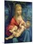 The Virgin and Child, C1511-Leonardo da Vinci-Mounted Giclee Print