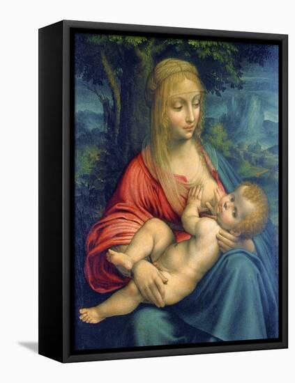 The Virgin and Child, C1511-Leonardo da Vinci-Framed Stretched Canvas