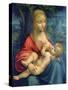 The Virgin and Child, C1511-Leonardo da Vinci-Stretched Canvas