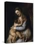 The Virgin and Child, C1570-1576-Titian (Tiziano Vecelli)-Stretched Canvas