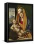 The Virgin and Child, Ca 1483-Alvise Vivarini-Framed Stretched Canvas