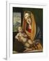 The Virgin and Child, Ca 1483-Alvise Vivarini-Framed Giclee Print