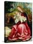 The Virgin and Child, from the Isenheim Altarpiece, circa 1512-16-Matthias Grünewald-Stretched Canvas