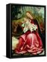 The Virgin and Child, from the Isenheim Altarpiece, circa 1512-16-Matthias Grünewald-Framed Stretched Canvas
