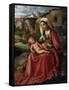 The Virgin and Child in a Landscape, C1503-Giorgione-Framed Stretched Canvas