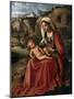 The Virgin and Child in a Landscape, C1503-Giorgione-Mounted Giclee Print