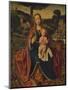 'The Virgin and Child in a Landscape', c1520-Jan Provoost-Mounted Giclee Print
