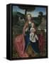 The Virgin and Child in a Landscape, Early16th C-Jan Provost-Framed Stretched Canvas