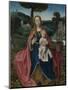 The Virgin and Child in a Landscape, Early16th C-Jan Provost-Mounted Giclee Print