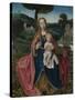 The Virgin and Child in a Landscape, Early16th C-Jan Provost-Stretched Canvas