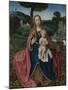 The Virgin and Child in a Landscape, Early16th C-Jan Provost-Mounted Giclee Print