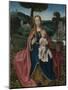 The Virgin and Child in a Landscape, Early16th C-Jan Provost-Mounted Giclee Print