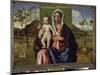 The Virgin and Child - Oil on Wood, 1510-Giovanni Bellini-Mounted Giclee Print