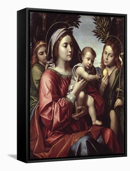 The Virgin and Child, St. John the Baptist and an Angel-Paolo Morando-Framed Stretched Canvas