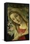 The Virgin and Child Surrounded by Angels-Sandro Botticelli-Framed Stretched Canvas