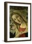 The Virgin and Child Surrounded by Angels-Sandro Botticelli-Framed Giclee Print