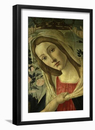 The Virgin and Child Surrounded by Angels-Sandro Botticelli-Framed Giclee Print