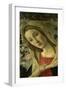 The Virgin and Child Surrounded by Angels-Sandro Botticelli-Framed Giclee Print