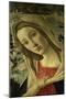 The Virgin and Child Surrounded by Angels-Sandro Botticelli-Mounted Giclee Print