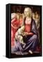The Virgin and Child Surrounded by Five Angels-Sandro Botticelli-Framed Stretched Canvas
