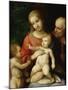 The Virgin and Child Surrounded by St John the Baptist and St Joseph, 1517-null-Mounted Giclee Print