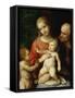 The Virgin and Child Surrounded by St John the Baptist and St Joseph, 1517-null-Framed Stretched Canvas