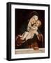 The Virgin and Child (Tempera on Panel)-Bartolomeo Montagna-Framed Giclee Print