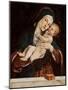 The Virgin and Child (Tempera on Panel)-Bartolomeo Montagna-Mounted Giclee Print