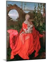 The Virgin and Child, the Madonna with the Iris, 1500-1510-Albrecht Durer-Mounted Giclee Print