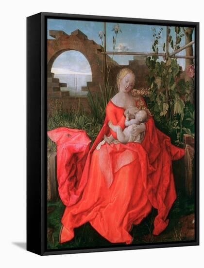 The Virgin and Child, the Madonna with the Iris, 1500-1510-Albrecht Durer-Framed Stretched Canvas