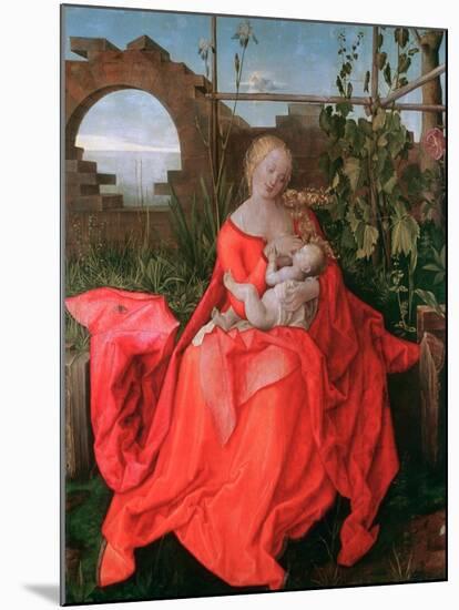 The Virgin and Child, the Madonna with the Iris, 1500-1510-Albrecht Durer-Mounted Giclee Print