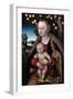 The Virgin and Child under an Apple Tree, C1525-Lucas Cranach the Elder-Framed Giclee Print