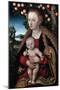 The Virgin and Child under an Apple Tree, C1525-Lucas Cranach the Elder-Mounted Giclee Print