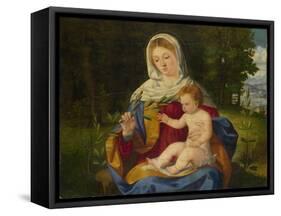 The Virgin and Child with a Shoot of Olive, Ca 1515-Andrea Previtali-Framed Stretched Canvas