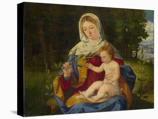 The Virgin and Child with a Shoot of Olive, Ca 1515-Andrea Previtali-Stretched Canvas