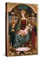 The Virgin and Child with Angels, 1512-Francesco dei Tatti-Stretched Canvas