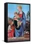 The Virgin and Child with Saint John, 1480-Filippino Lippi-Framed Stretched Canvas