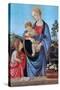 The Virgin and Child with Saint John, 1480-Filippino Lippi-Stretched Canvas